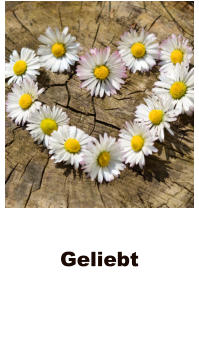 Geliebt